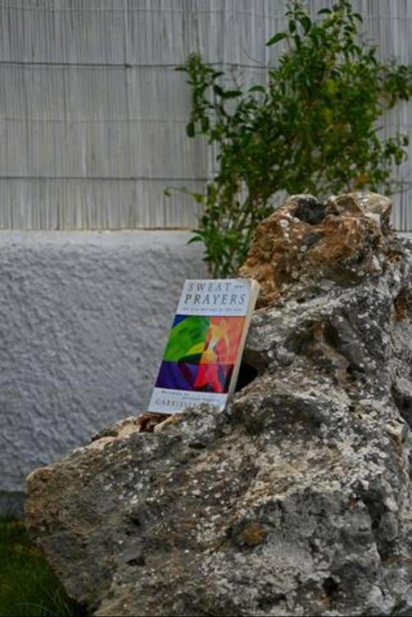 Villa Annassa Almyrida Almirida エクステリア 写真